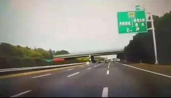 绍兴高速爆料事件视频最新,真相与争议交织的实时追踪